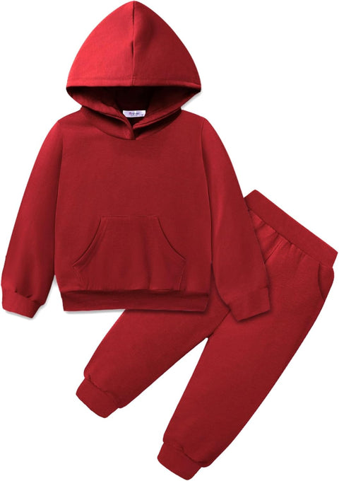 Arshiner Toddler Girl's 2Pcs Outfits Sets Hoodie Pants Set