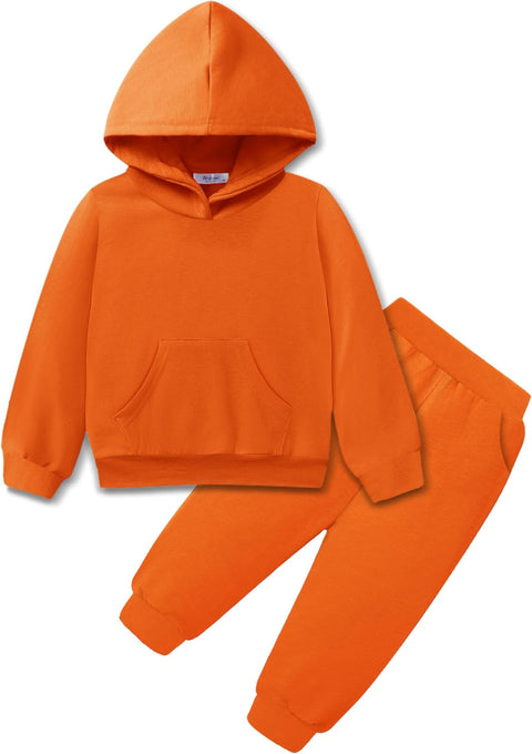 Arshiner Toddler Girl's 2Pcs Outfits Sets Hoodie Pants Set