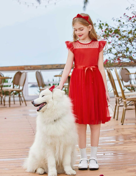 [2-8Y] Arshiner Toddler Girls Tutu Dress Contrast Mesh Party Dresses