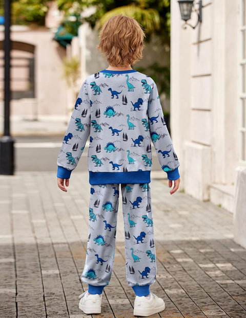 Arshiner Boys Long Sleeve Print Sweatshirt and Pant 2 Piece Set