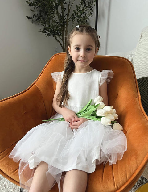 Arshiner Toddler Baby Girl Dress Ruffle Sleeveless Tulle Dresses 2-6