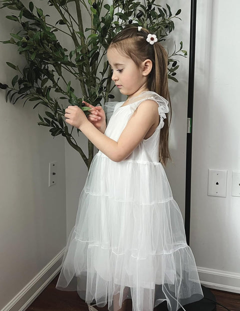 Arshiner Toddler Baby Girl Dress Ruffle Sleeveless Tulle Dresses 2-6