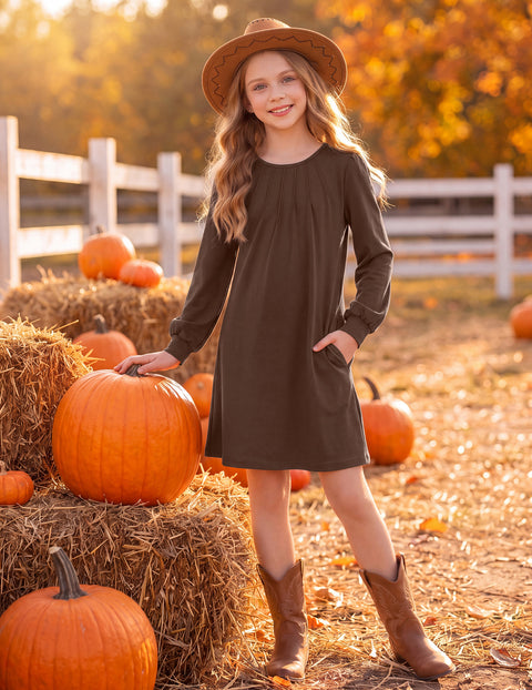 Girls Long Sleeve Pleated Front A-Line Dress Puff Sleeve Fall Casual Dress - Brown